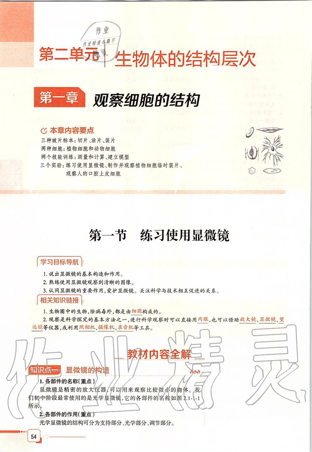 2019年课本六年级生物学上册鲁科版五四制&nbsp;第54页