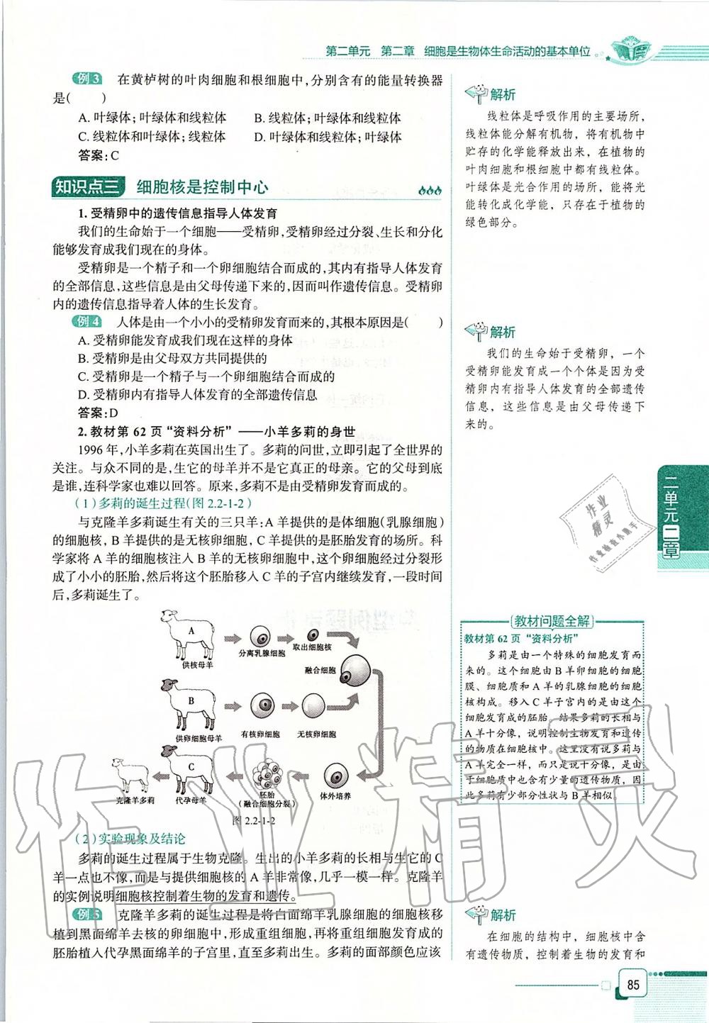 2019年课本六年级生物学上册鲁科版五四制&nbsp;第85页
