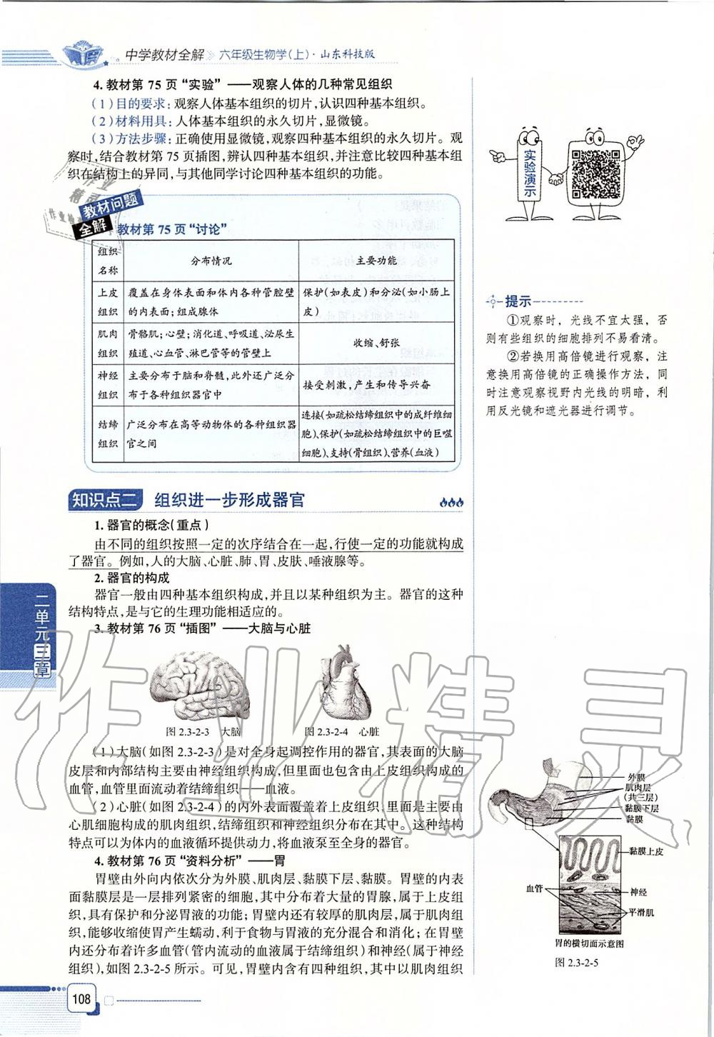 2019年课本六年级生物学上册鲁科版五四制&nbsp;第108页