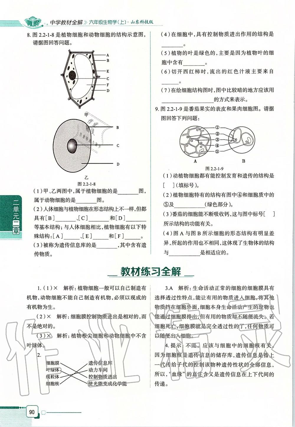 2019年课本六年级生物学上册鲁科版五四制&nbsp;第90页