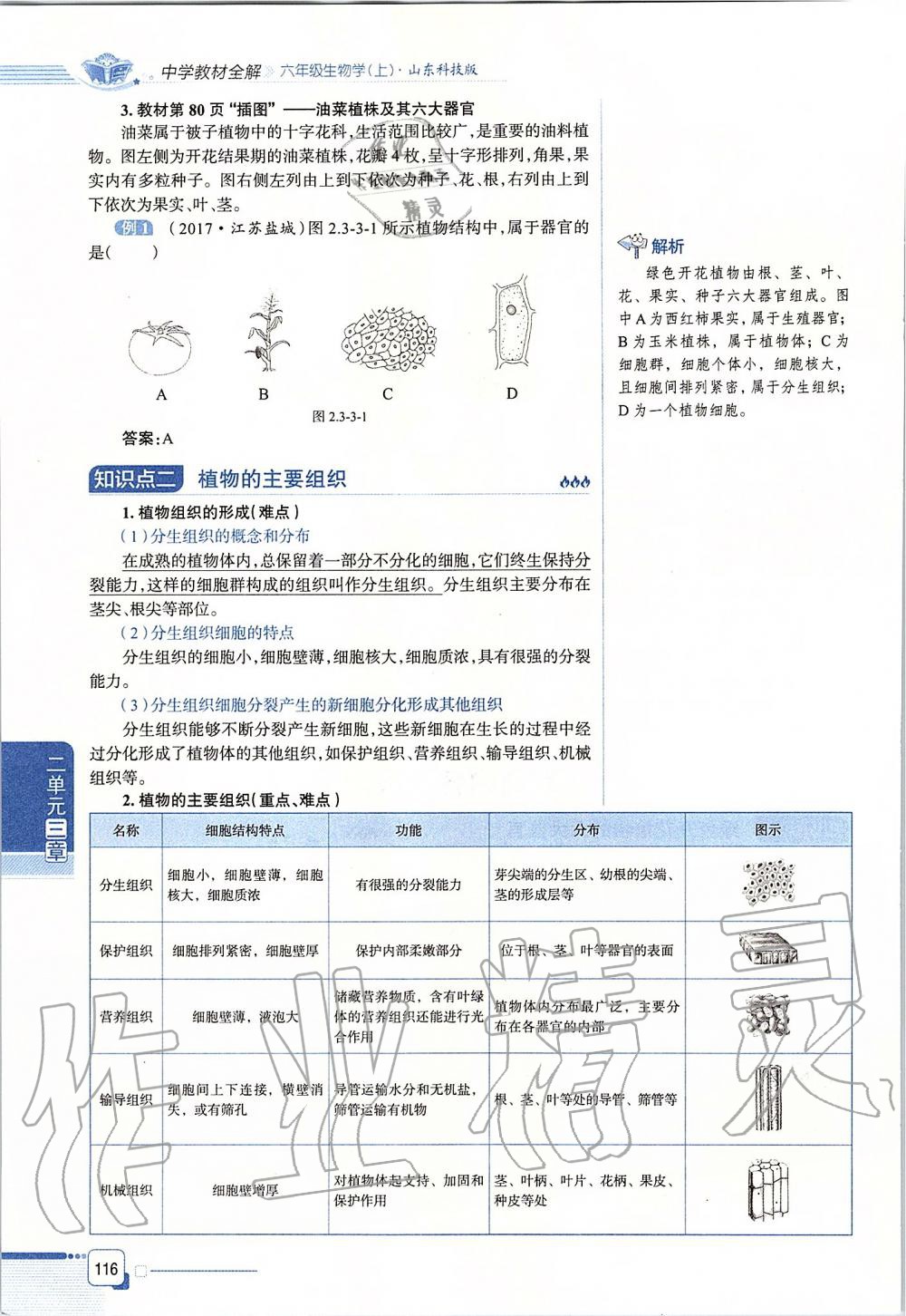 2019年课本六年级生物学上册鲁科版五四制&nbsp;第116页