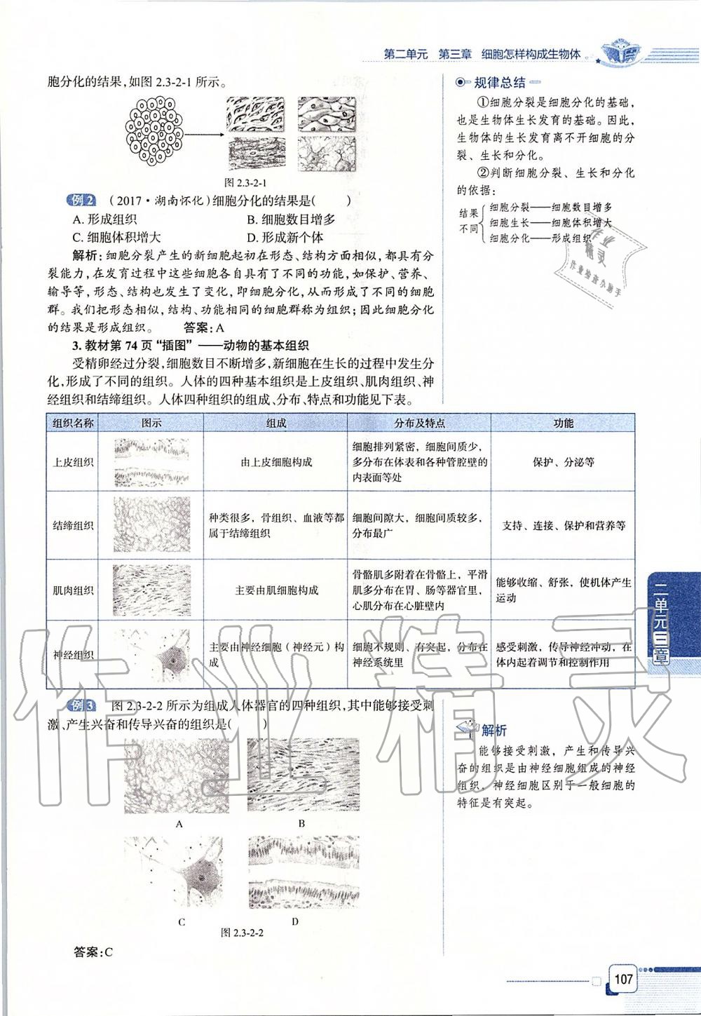 2019年课本六年级生物学上册鲁科版五四制&nbsp;第107页