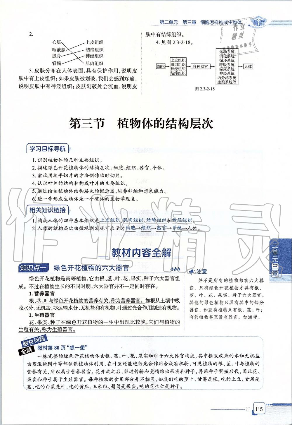 2019年课本六年级生物学上册鲁科版五四制&nbsp;第115页