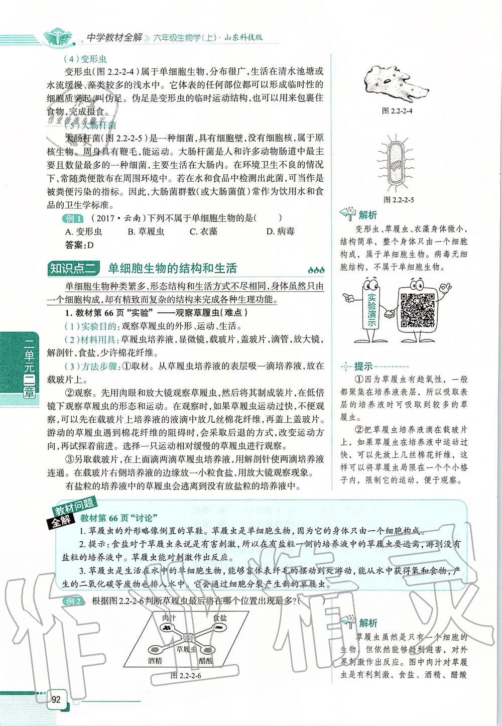 2019年课本六年级生物学上册鲁科版五四制&nbsp;第92页