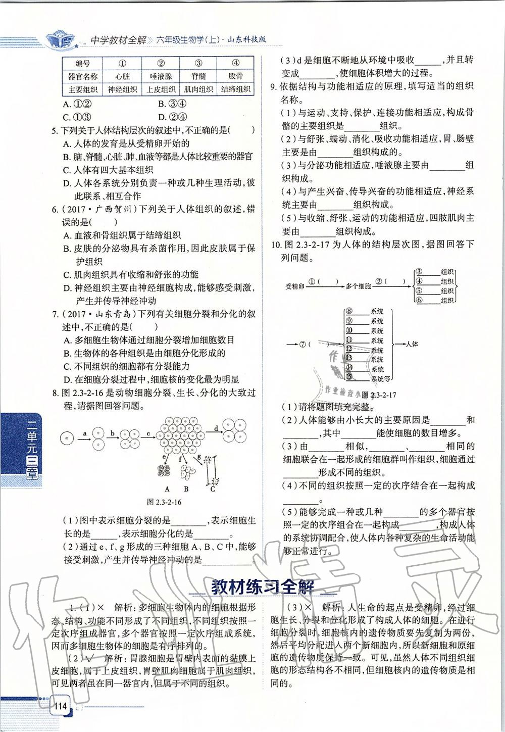 2019年课本六年级生物学上册鲁科版五四制&nbsp;第114页