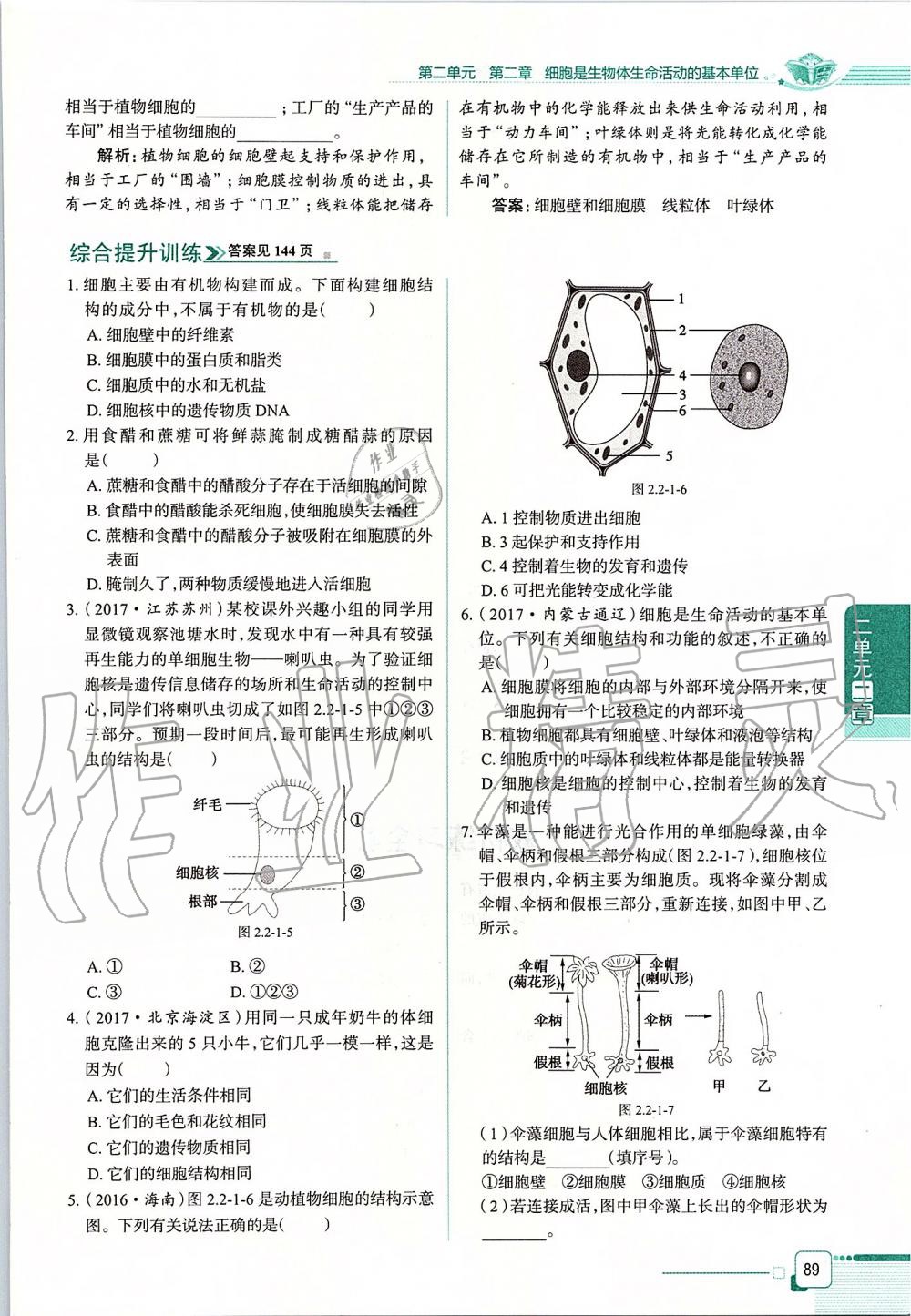 2019年课本六年级生物学上册鲁科版五四制&nbsp;第89页