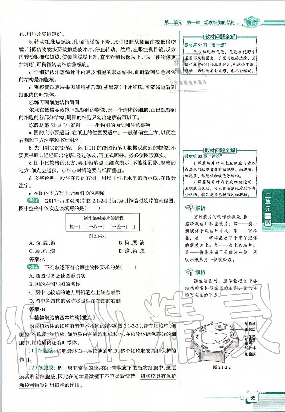2019年课本六年级生物学上册鲁科版五四制&nbsp;第65页