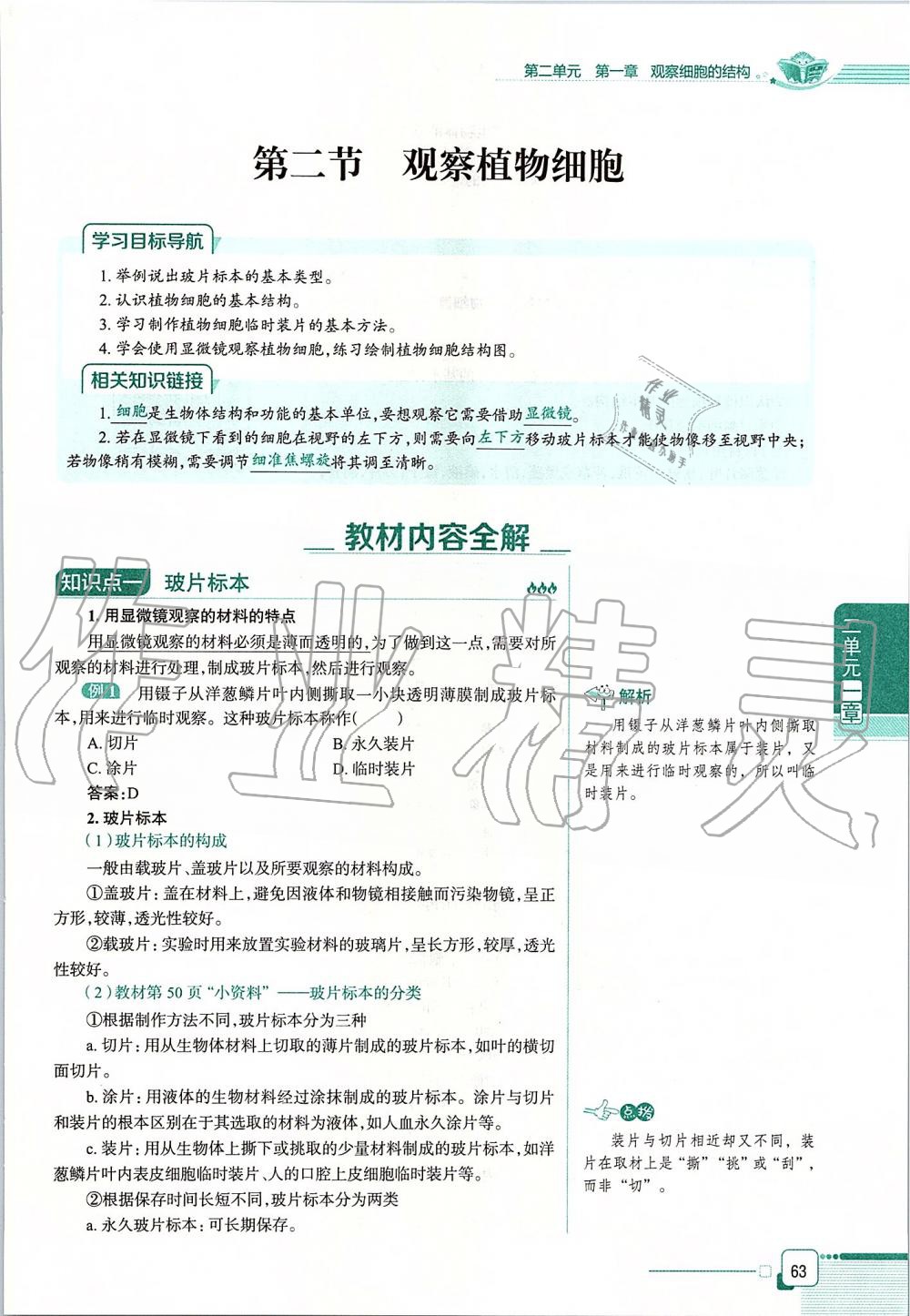 2019年课本六年级生物学上册鲁科版五四制&nbsp;第63页