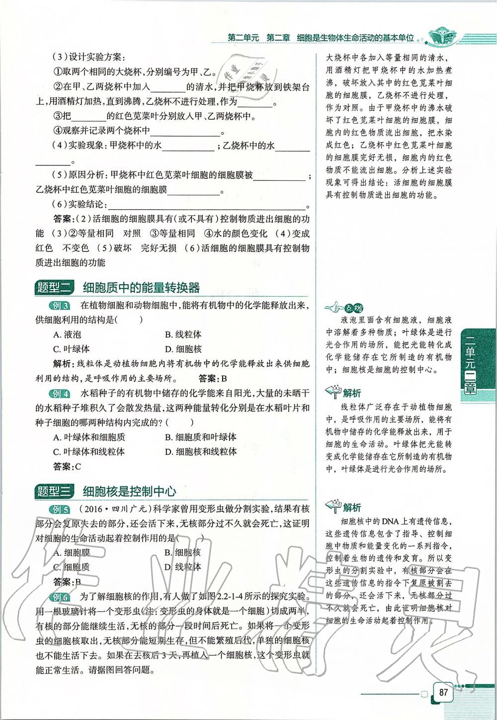 2019年课本六年级生物学上册鲁科版五四制&nbsp;第87页