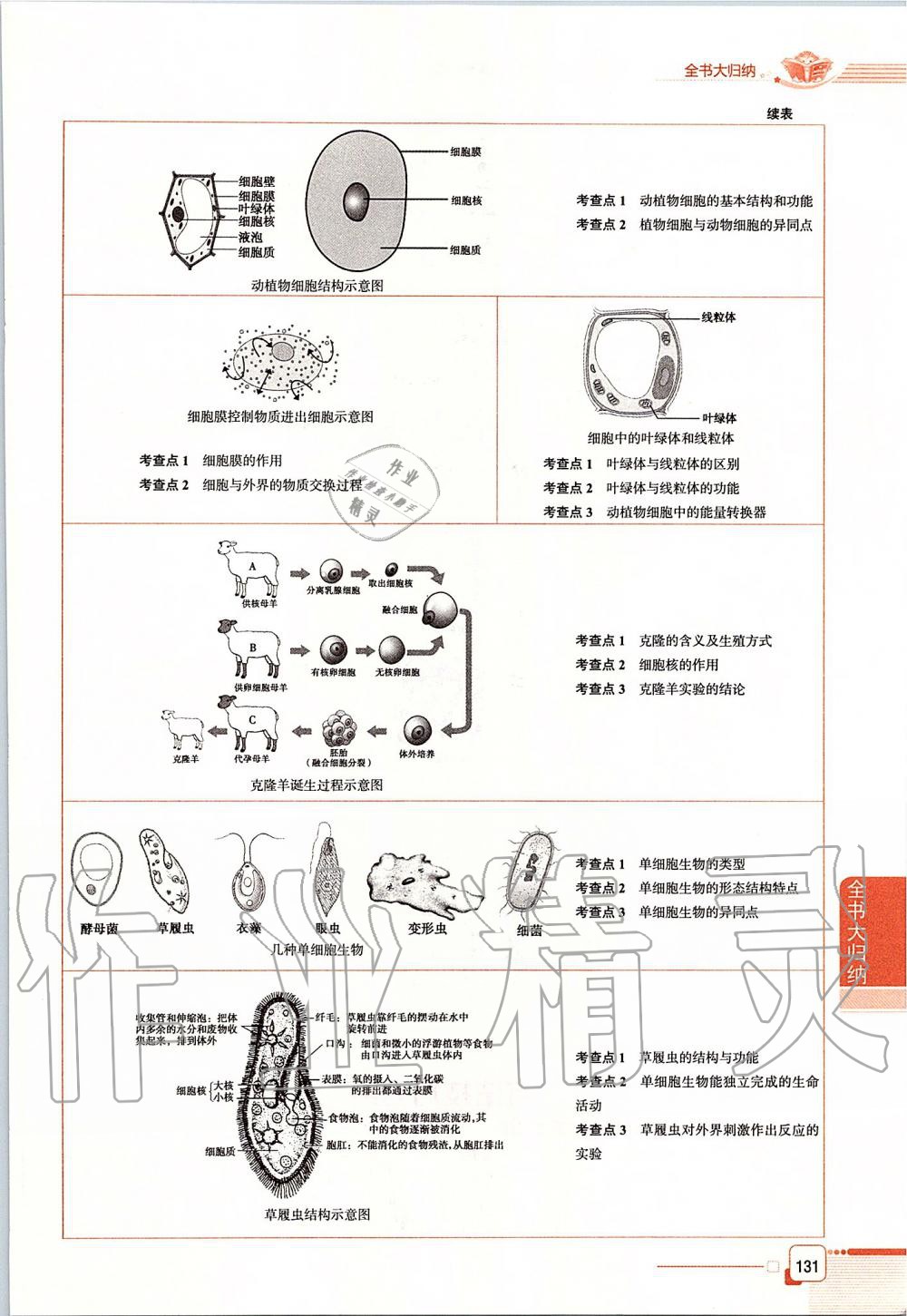 2019年课本六年级生物学上册鲁科版五四制&nbsp;第131页