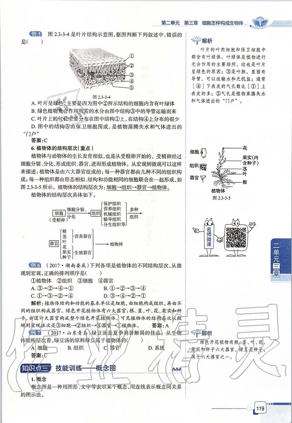 2019年课本六年级生物学上册鲁科版五四制&nbsp;第119页