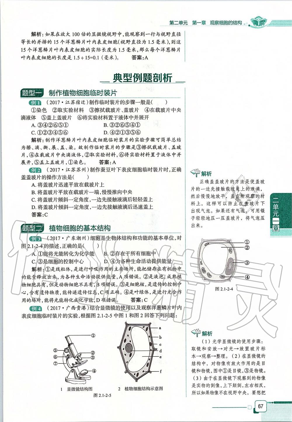 2019年课本六年级生物学上册鲁科版五四制&nbsp;第67页