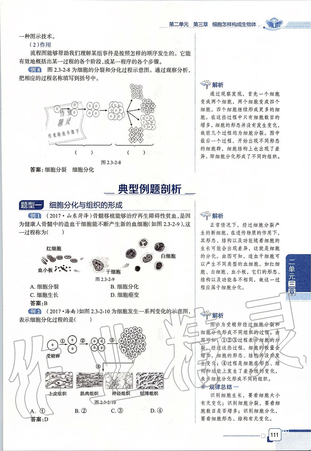 2019年课本六年级生物学上册鲁科版五四制&nbsp;第111页