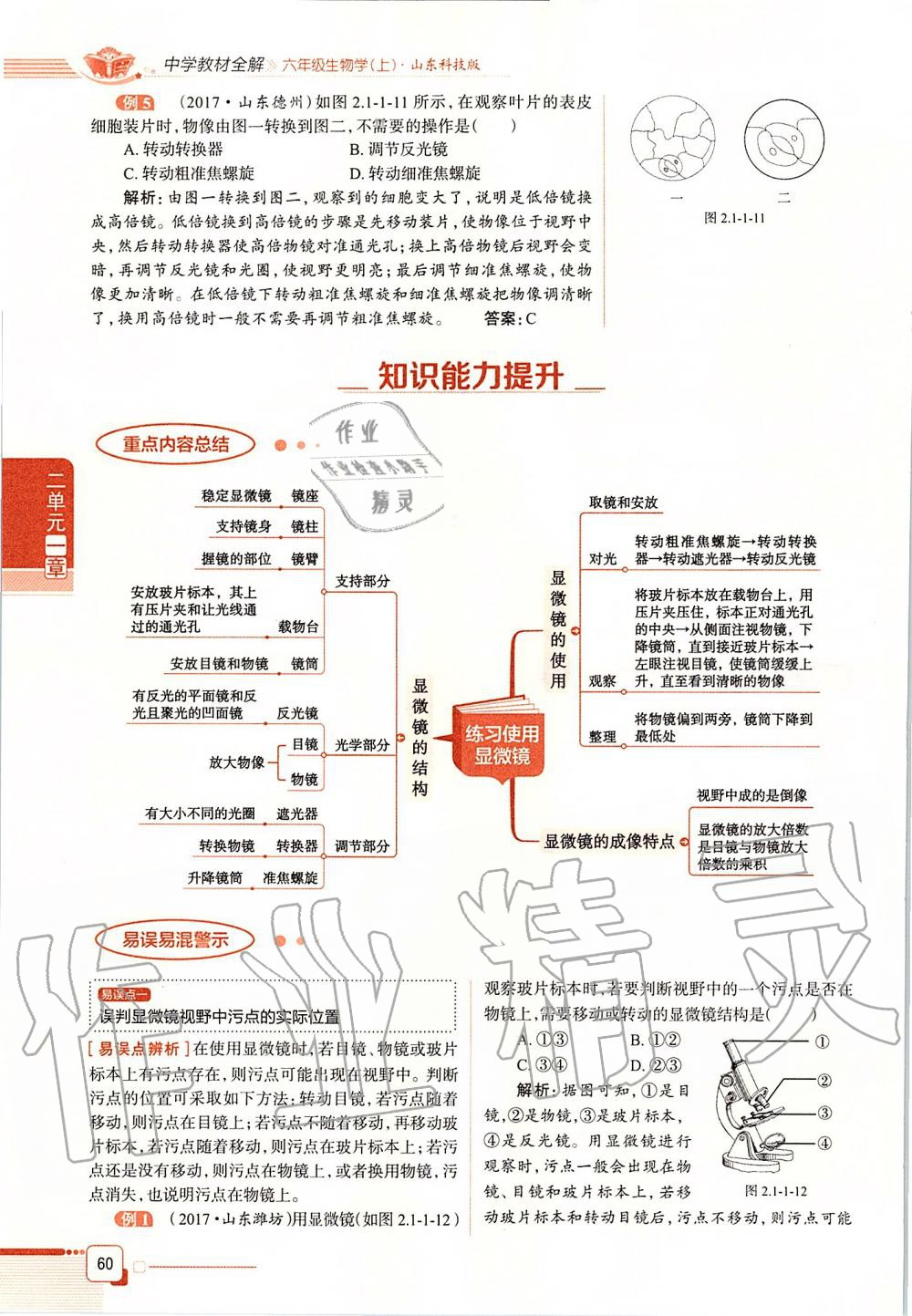 2019年课本六年级生物学上册鲁科版五四制&nbsp;第60页