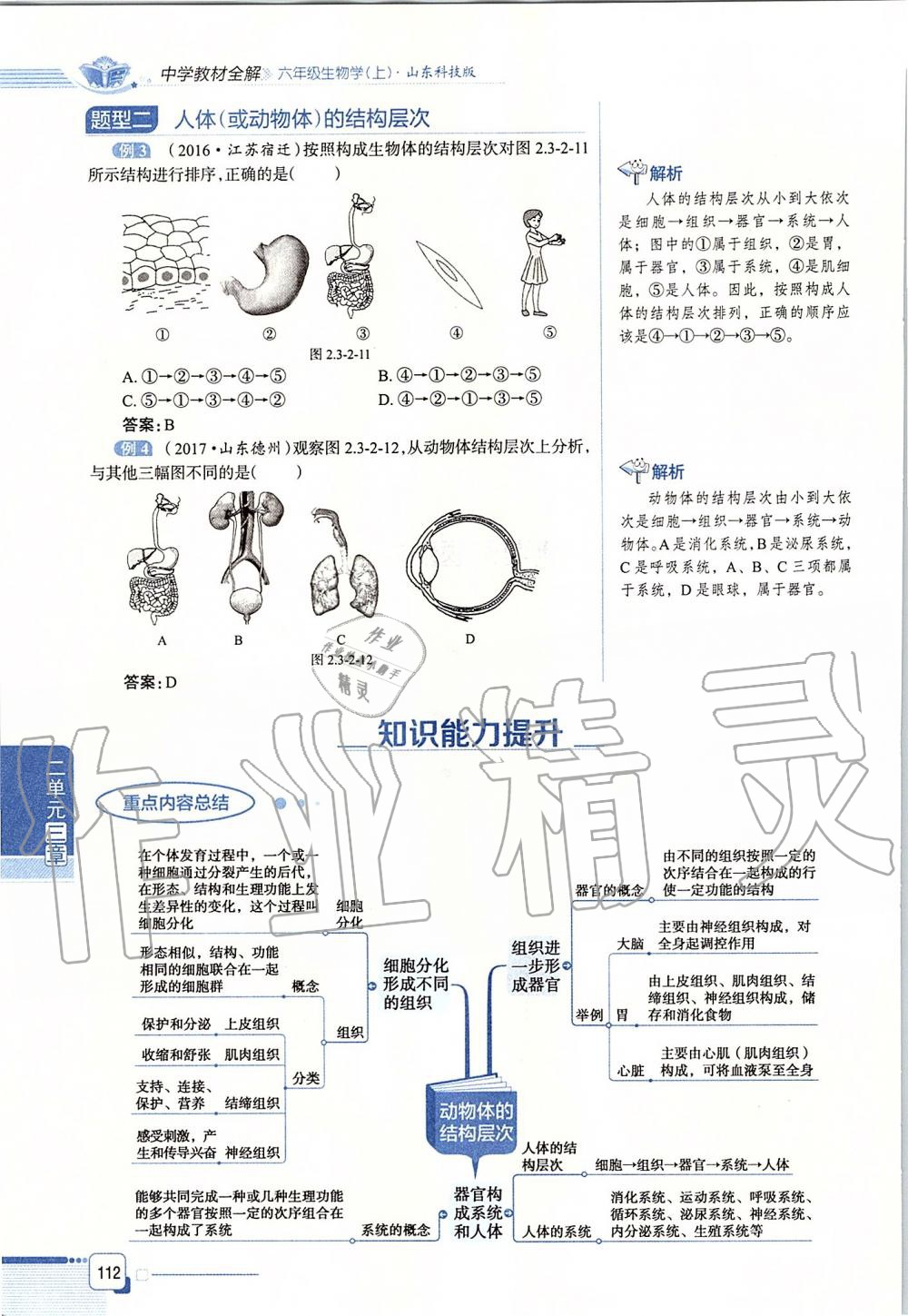 2019年课本六年级生物学上册鲁科版五四制&nbsp;第112页