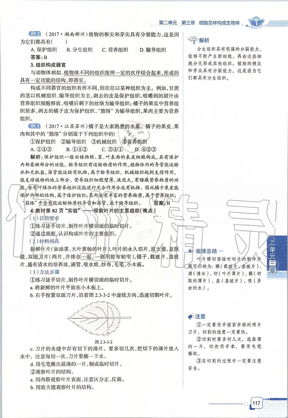 2019年课本六年级生物学上册鲁科版五四制&nbsp;第117页