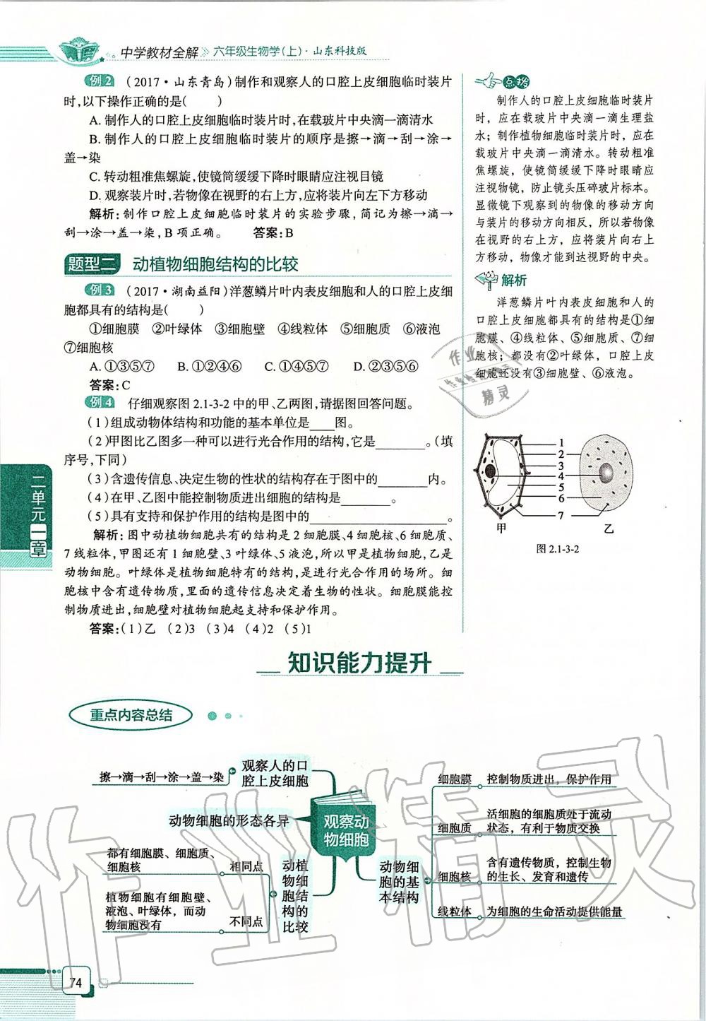 2019年课本六年级生物学上册鲁科版五四制&nbsp;第74页