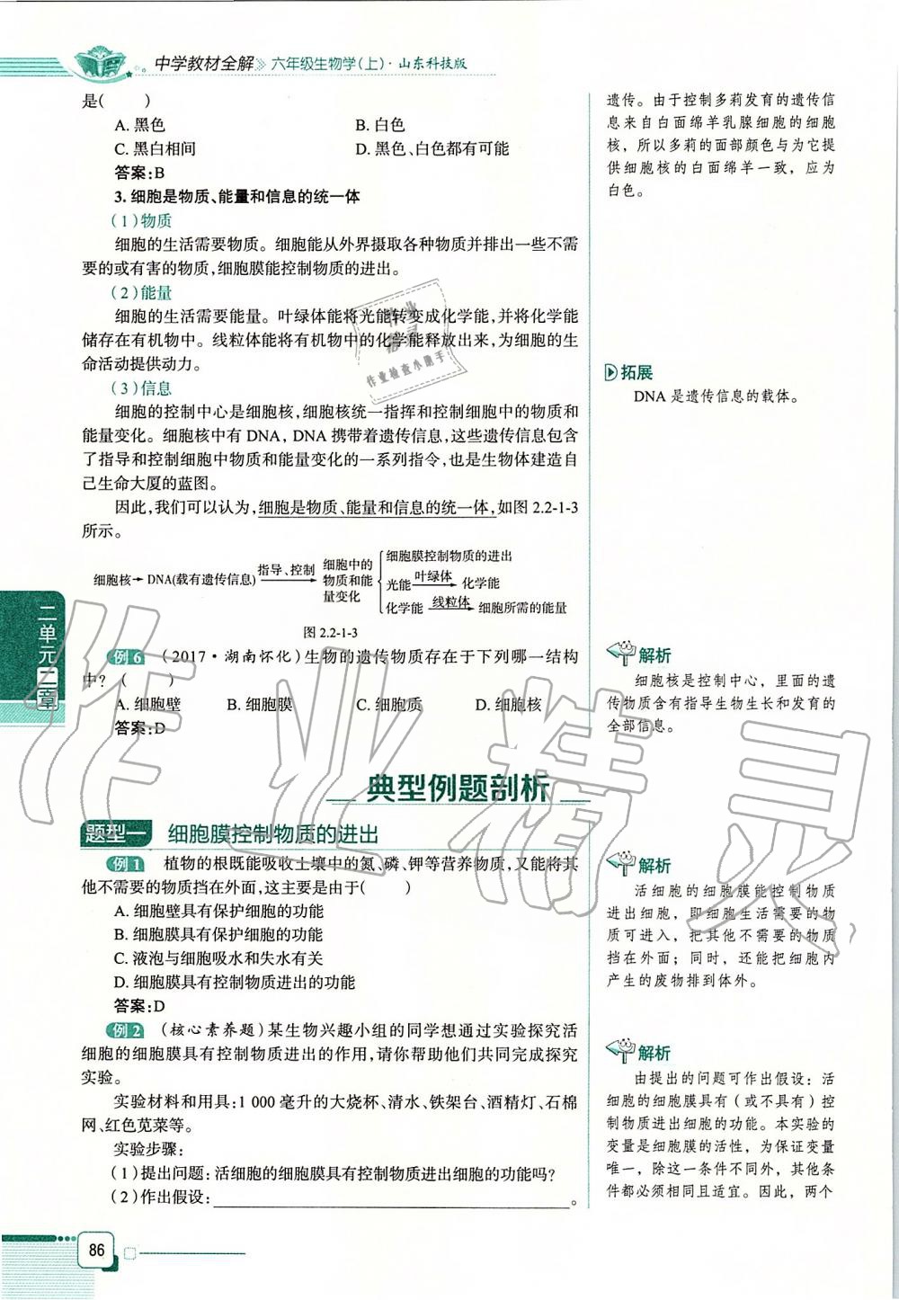 2019年课本六年级生物学上册鲁科版五四制&nbsp;第86页
