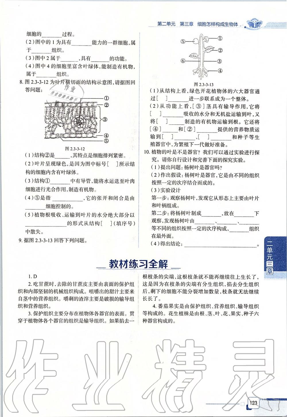 2019年课本六年级生物学上册鲁科版五四制&nbsp;第123页