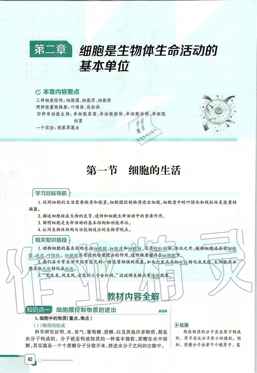 2019年课本六年级生物学上册鲁科版五四制&nbsp;第82页