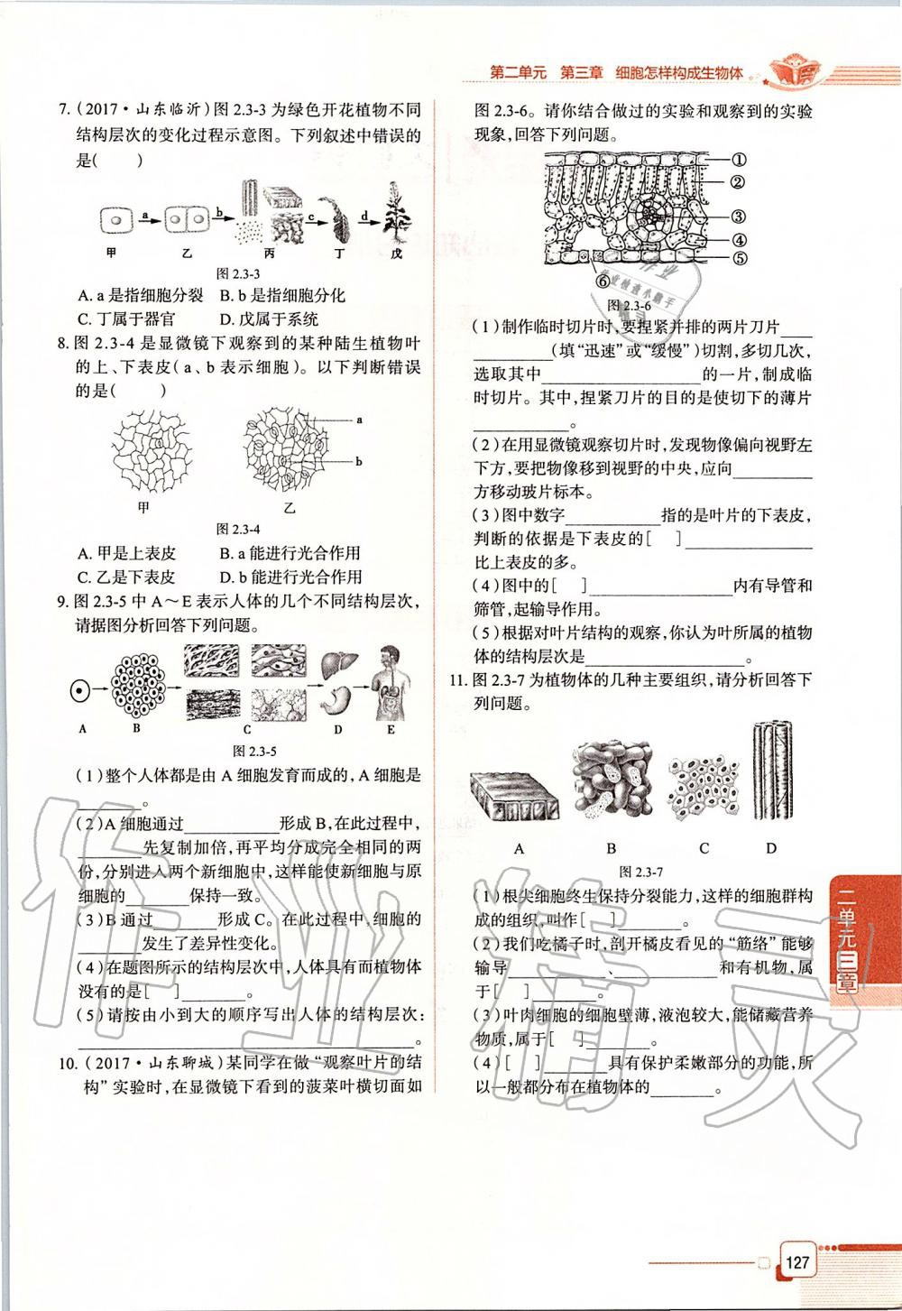 2019年课本六年级生物学上册鲁科版五四制&nbsp;第127页
