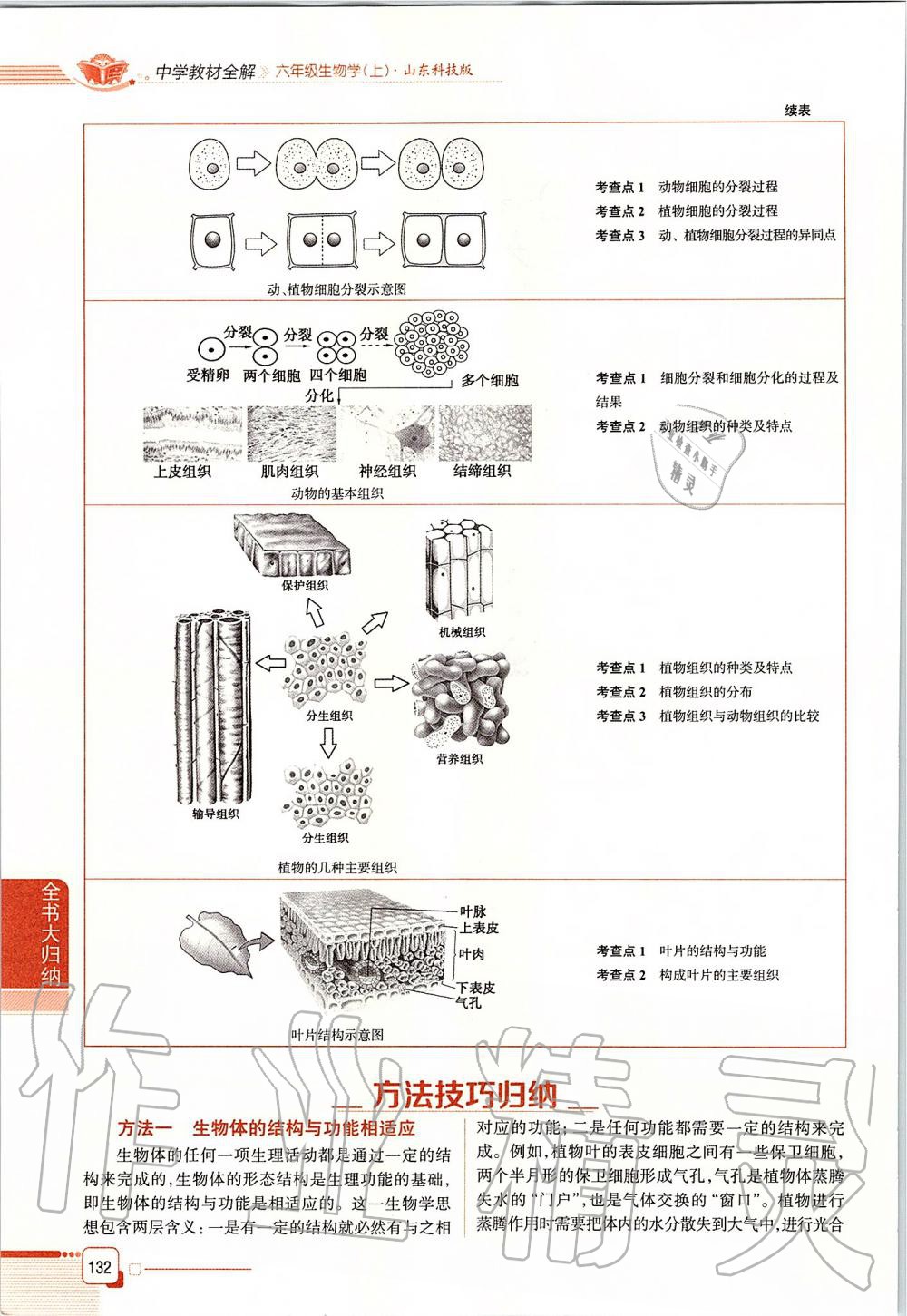 2019年课本六年级生物学上册鲁科版五四制&nbsp;第132页