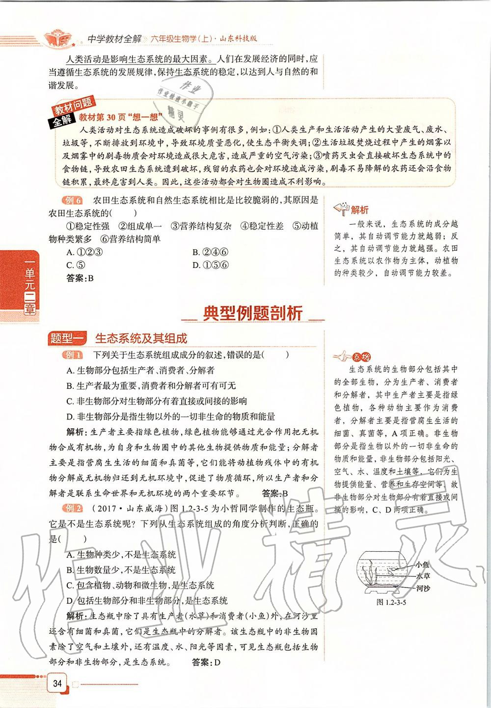 2019年课本六年级生物学上册鲁科版五四制&nbsp;第34页