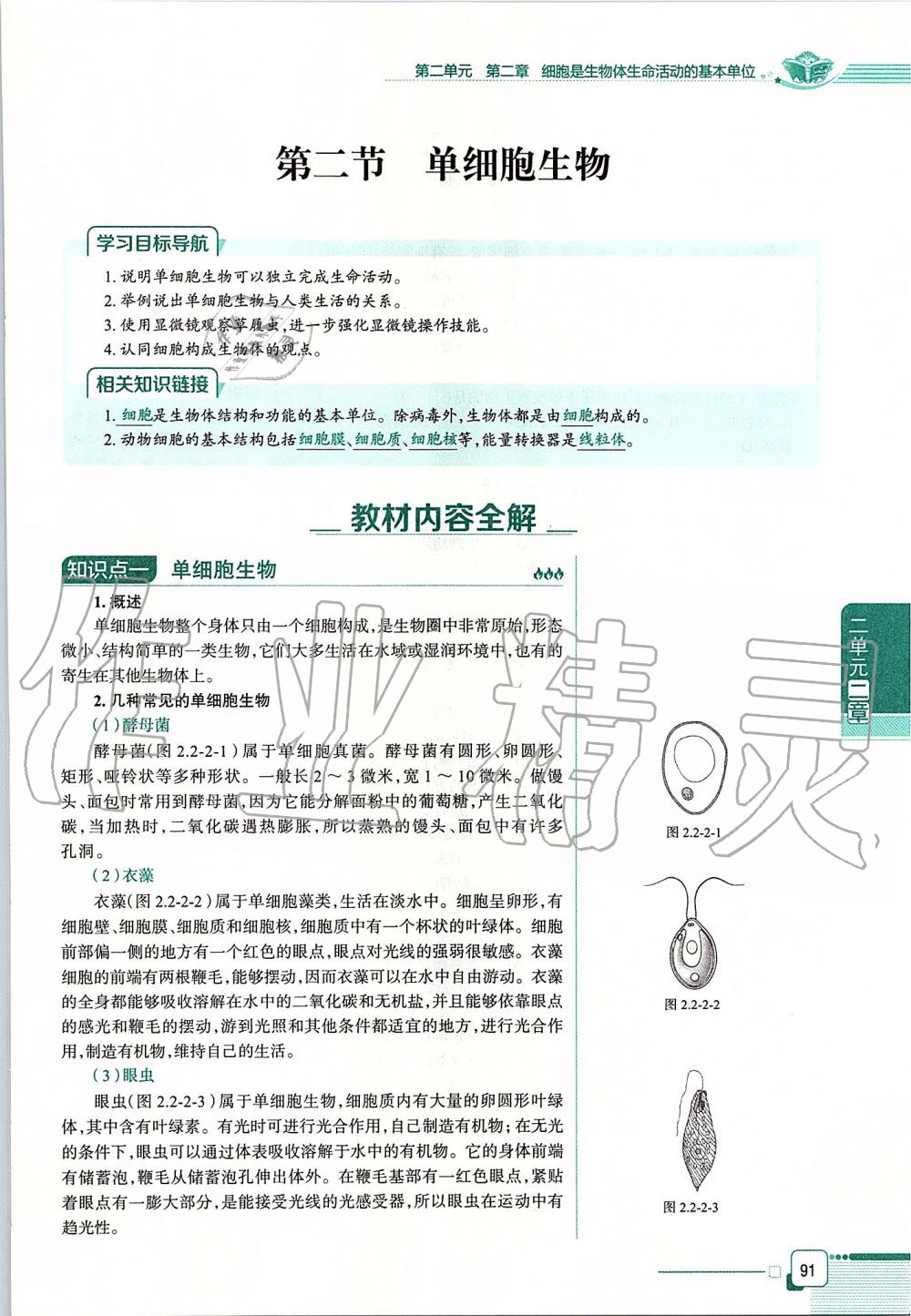 2019年课本六年级生物学上册鲁科版五四制&nbsp;第91页