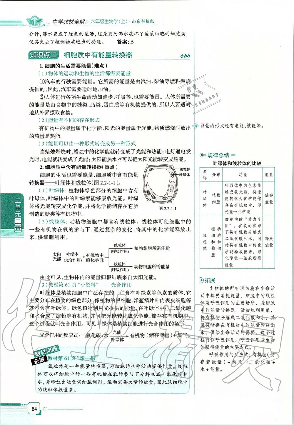 2019年课本六年级生物学上册鲁科版五四制&nbsp;第84页