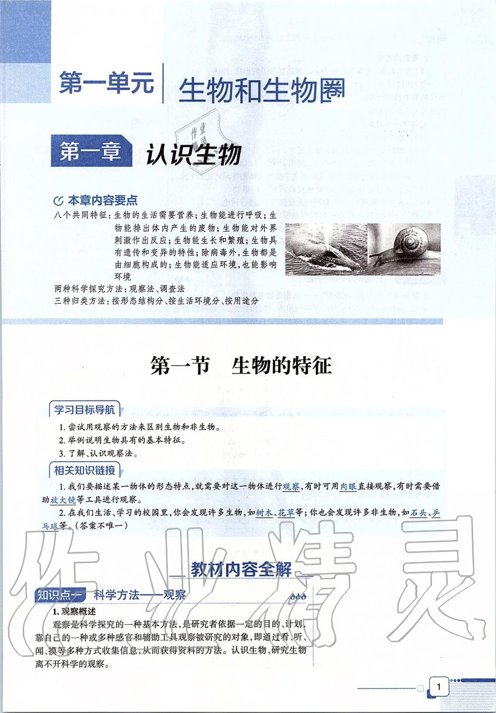 2019年课本六年级生物学上册鲁科版五四制&nbsp;第1页