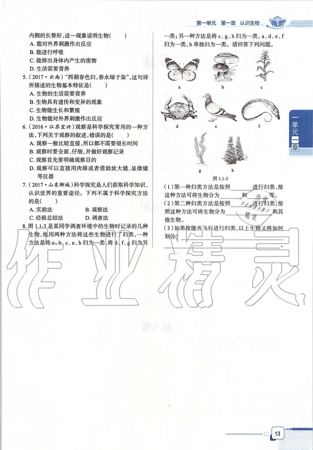 2019年课本六年级生物学上册鲁科版五四制&nbsp;第13页