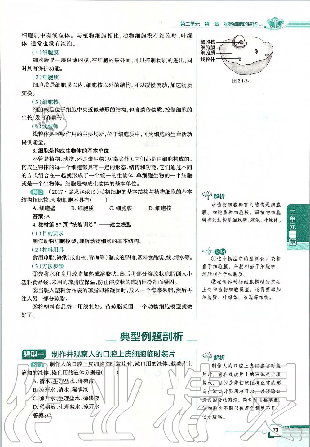 2019年课本六年级生物学上册鲁科版五四制&nbsp;第73页