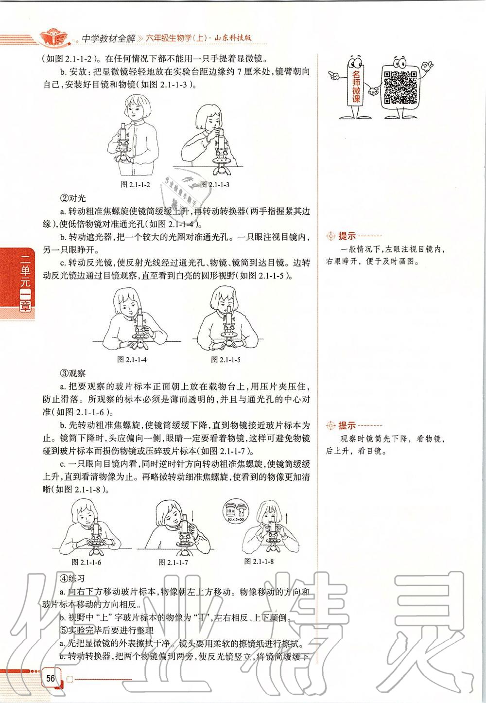 2019年课本六年级生物学上册鲁科版五四制&nbsp;第56页