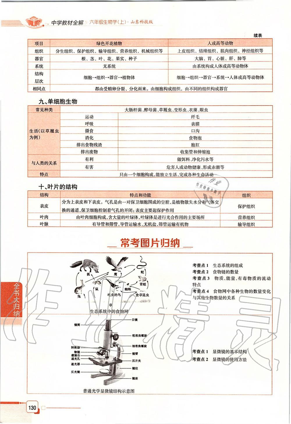 2019年课本六年级生物学上册鲁科版五四制&nbsp;第130页