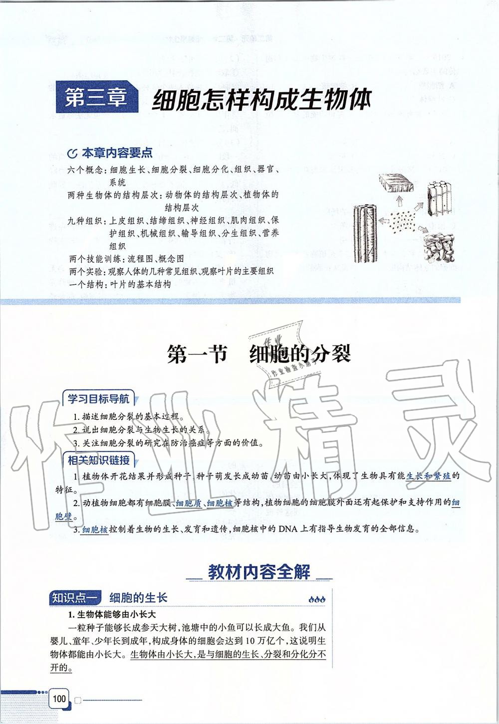 2019年课本六年级生物学上册鲁科版五四制&nbsp;第100页