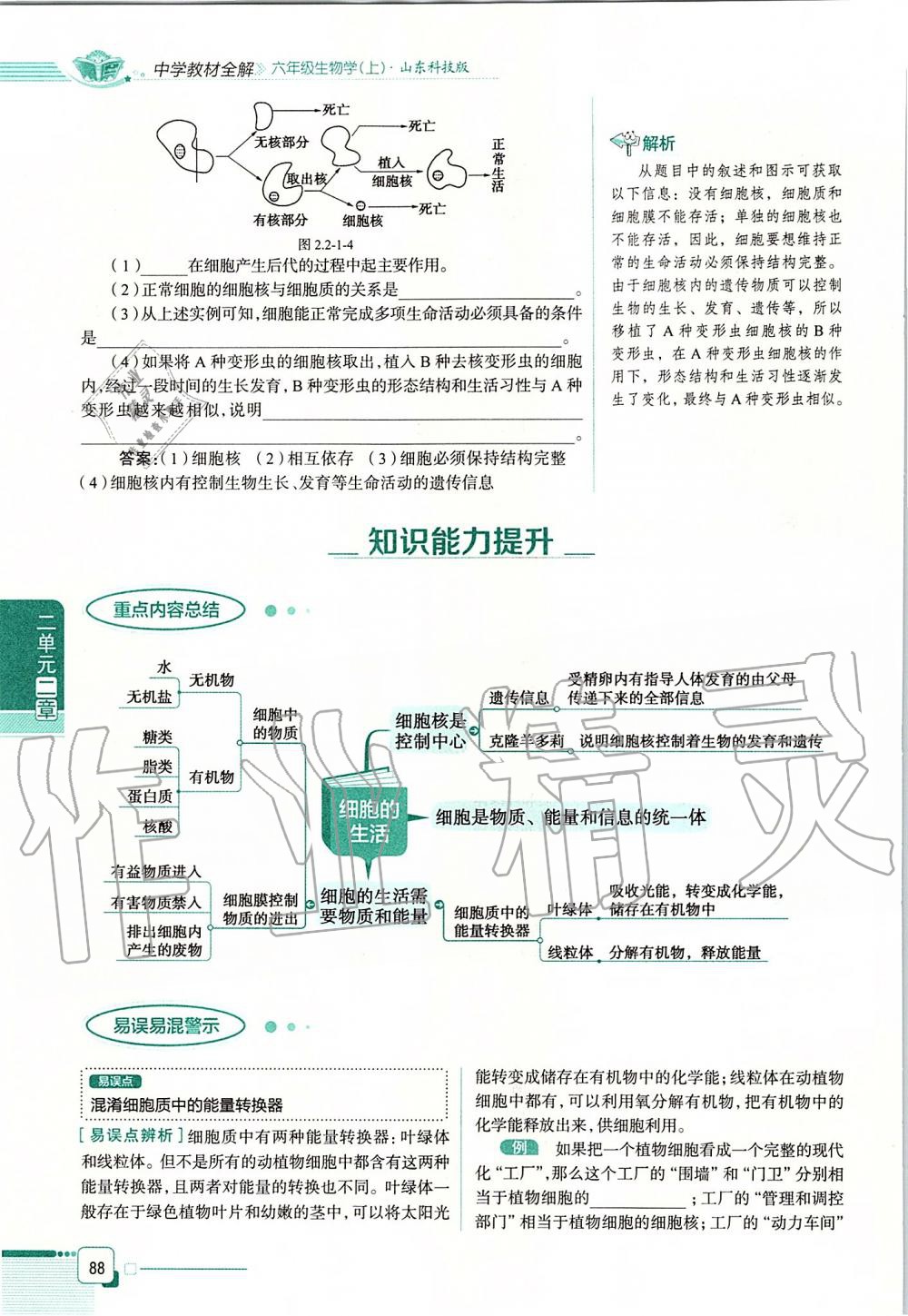 2019年课本六年级生物学上册鲁科版五四制&nbsp;第88页