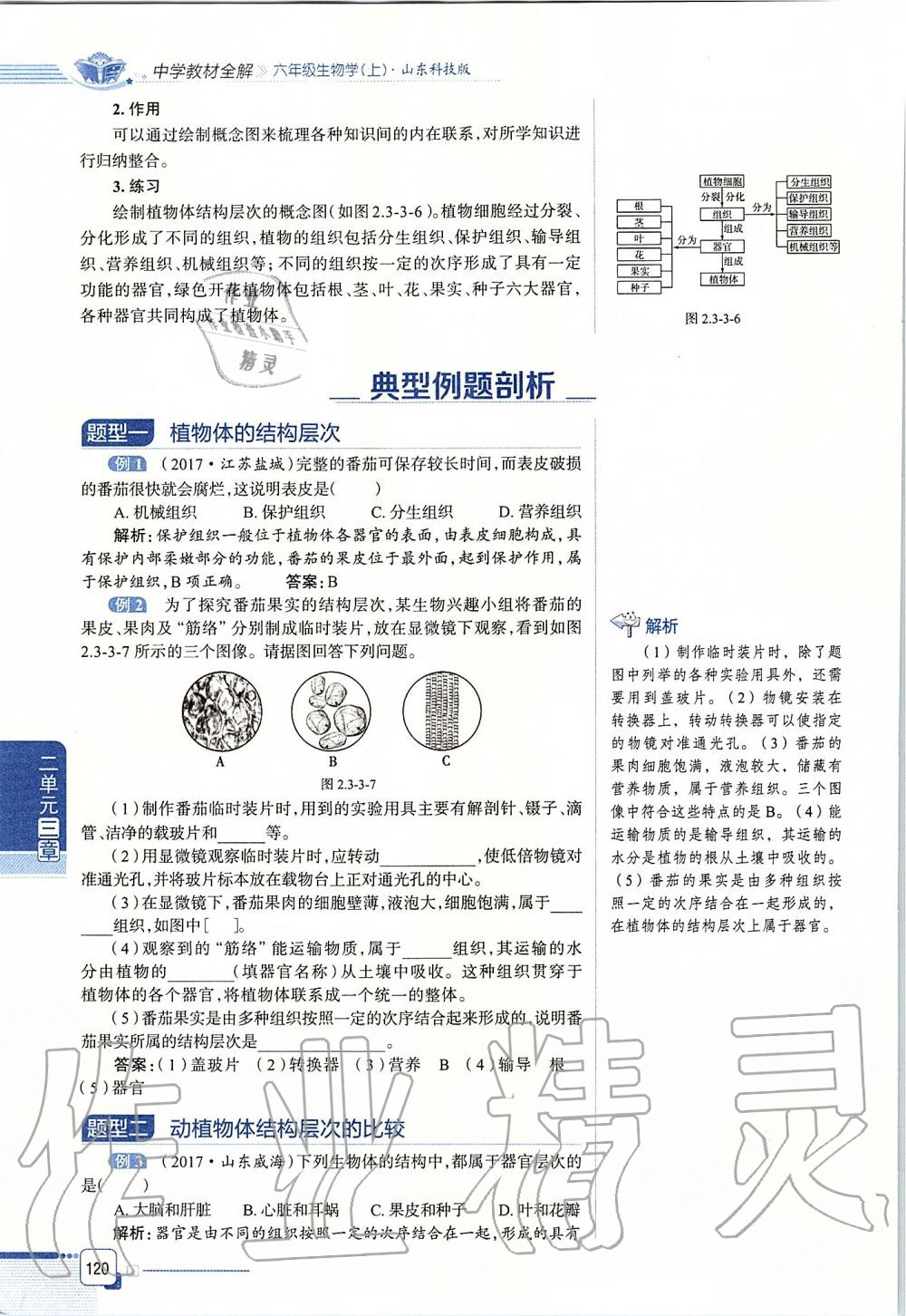 2019年课本六年级生物学上册鲁科版五四制&nbsp;第120页