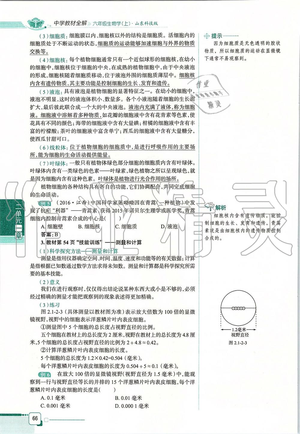 2019年课本六年级生物学上册鲁科版五四制&nbsp;第66页