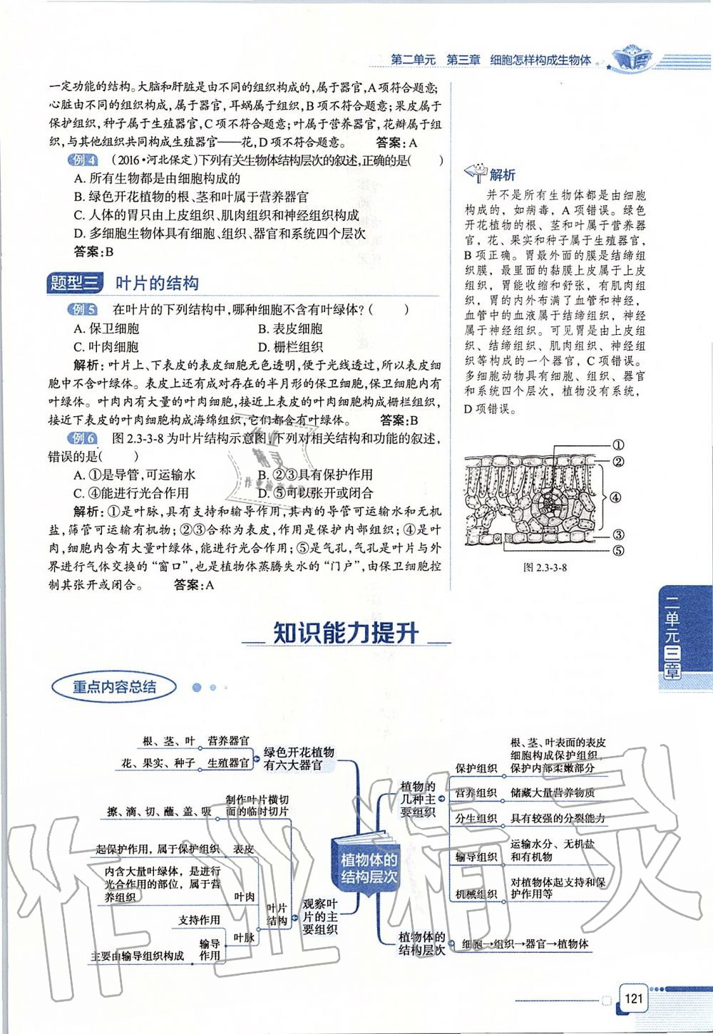 2019年课本六年级生物学上册鲁科版五四制&nbsp;第121页