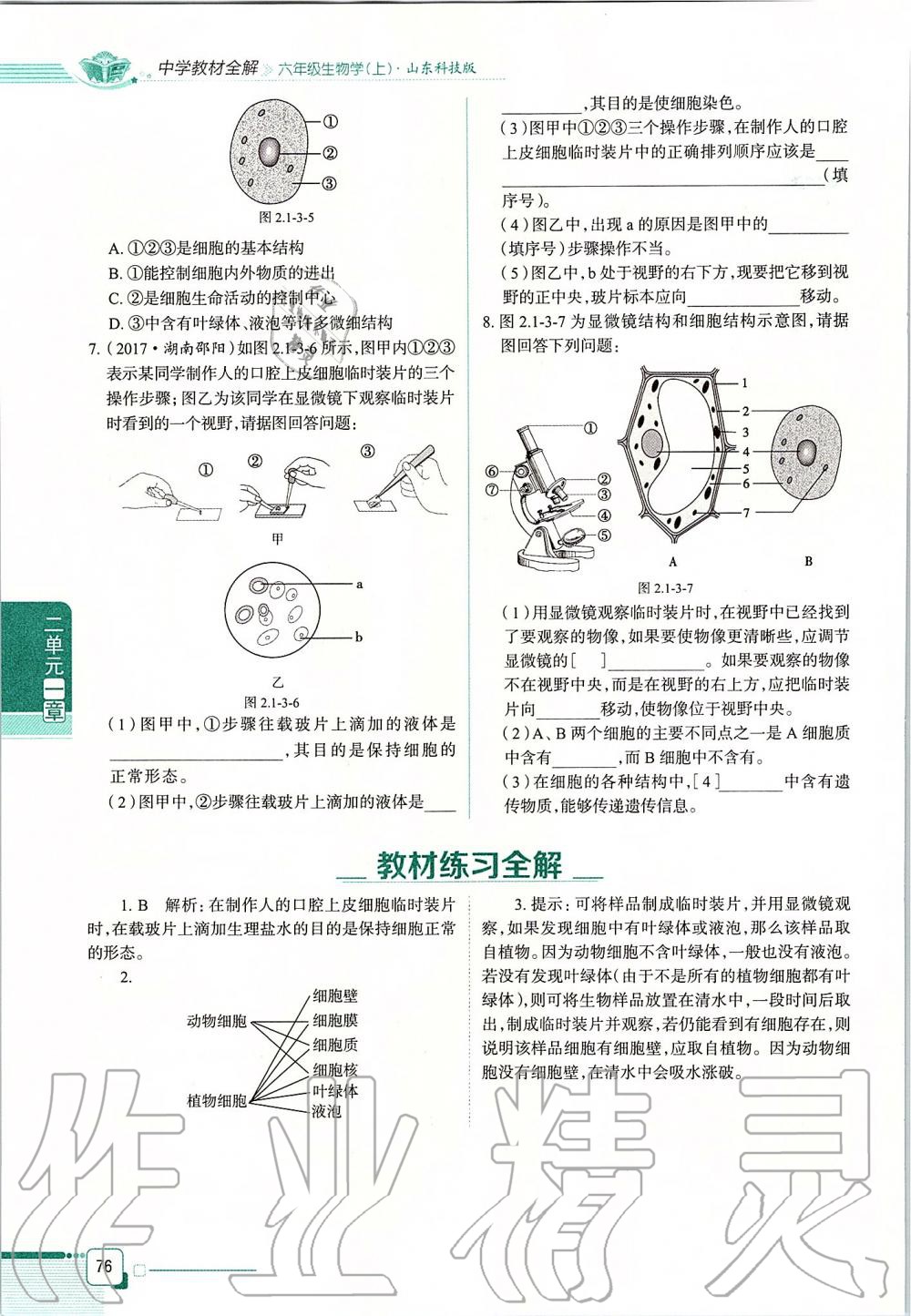 2019年课本六年级生物学上册鲁科版五四制&nbsp;第76页