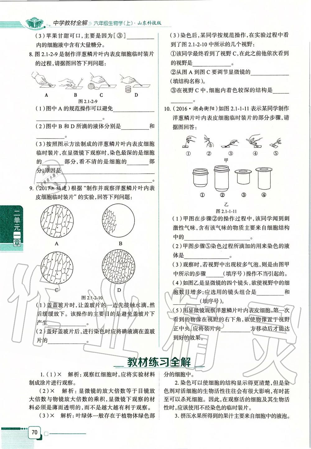 2019年课本六年级生物学上册鲁科版五四制&nbsp;第70页