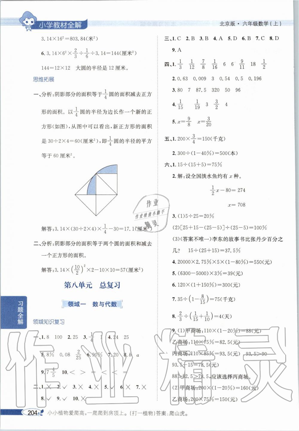 2019年小學(xué)教材全解六年級(jí)數(shù)學(xué)上冊(cè)北京課改版 第13頁(yè)