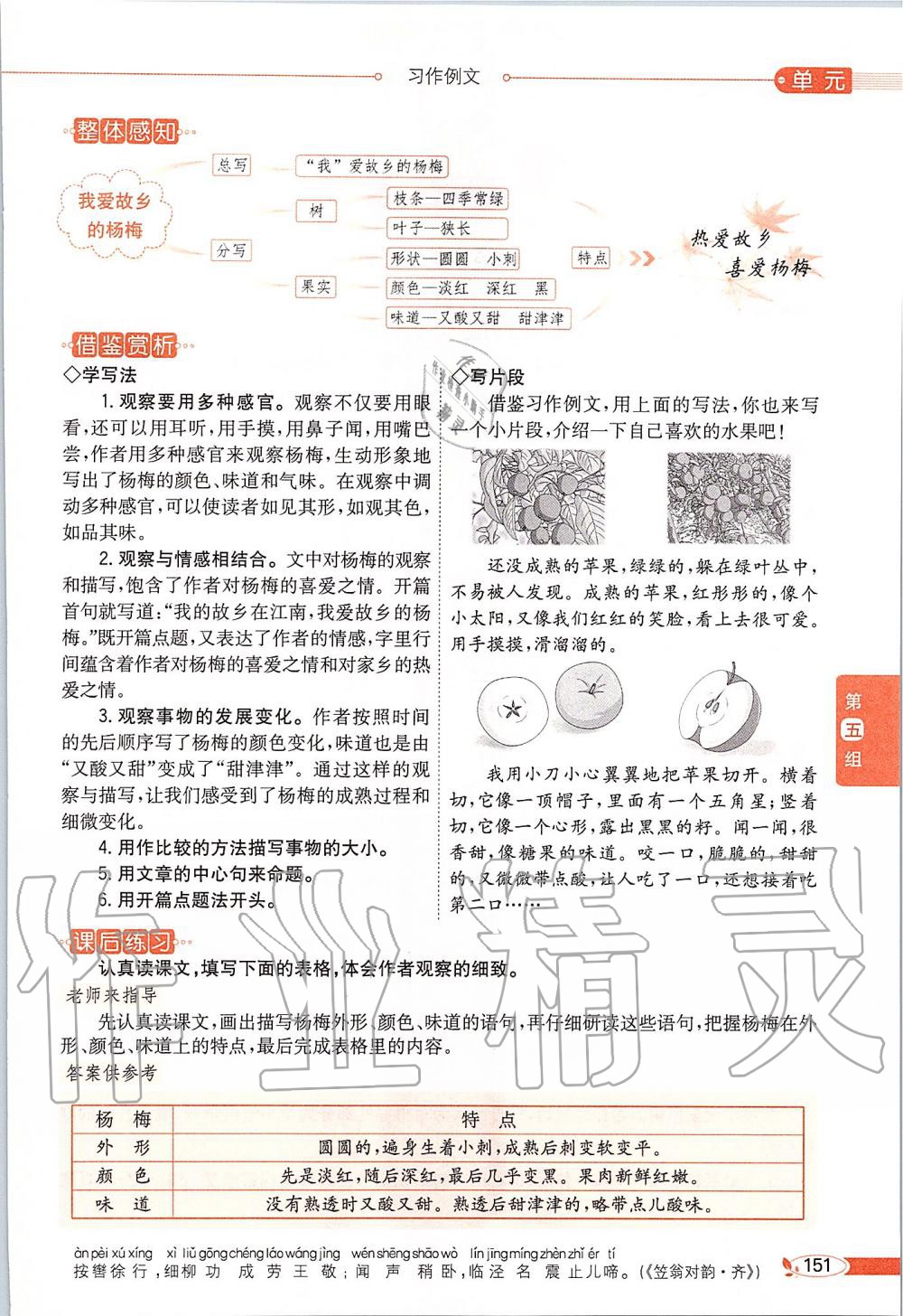 2019年課本三年級(jí)語文上冊(cè)人教版五四制 第151頁