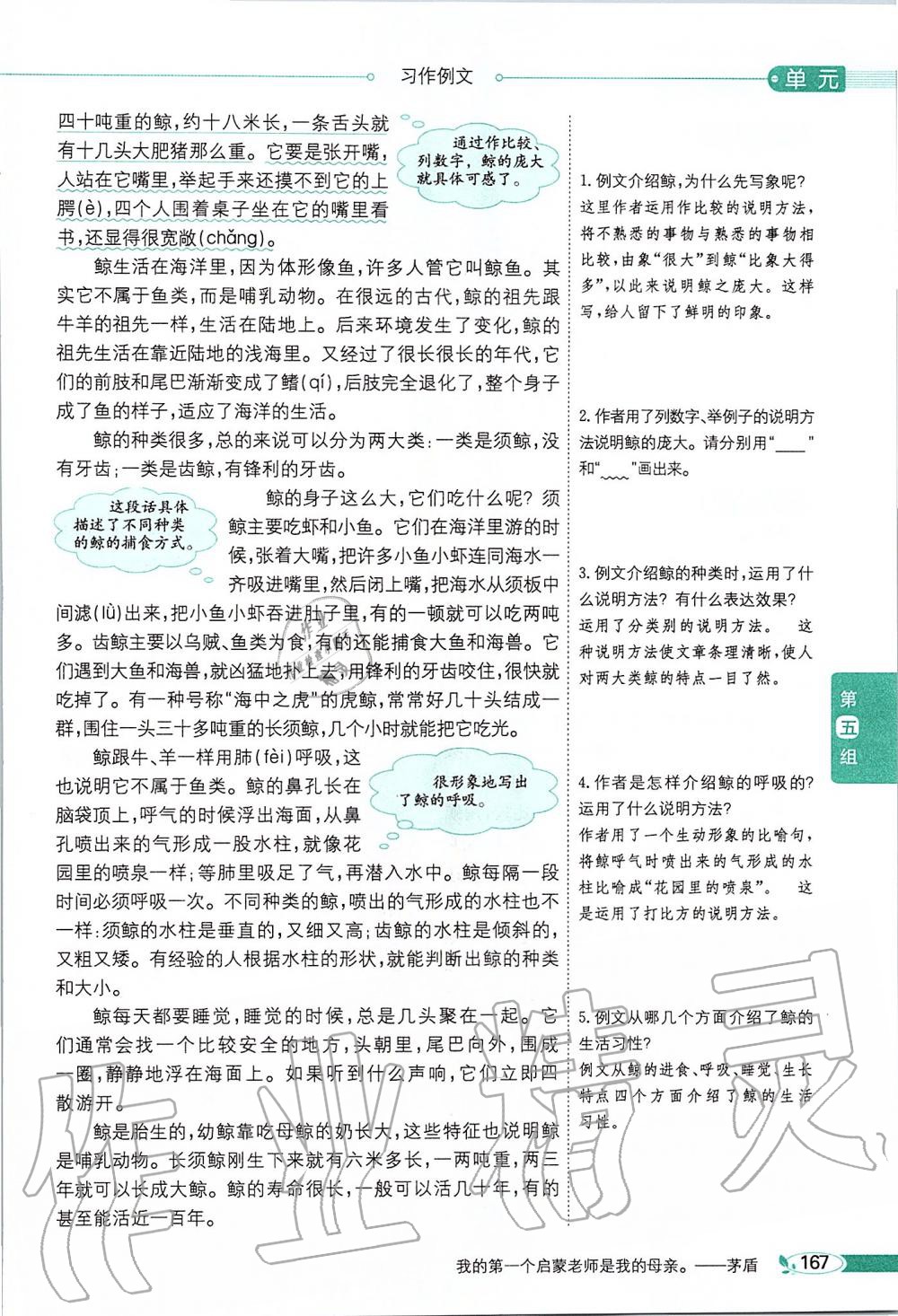 2019年課本五年級語文上冊人教版五四制 第167頁