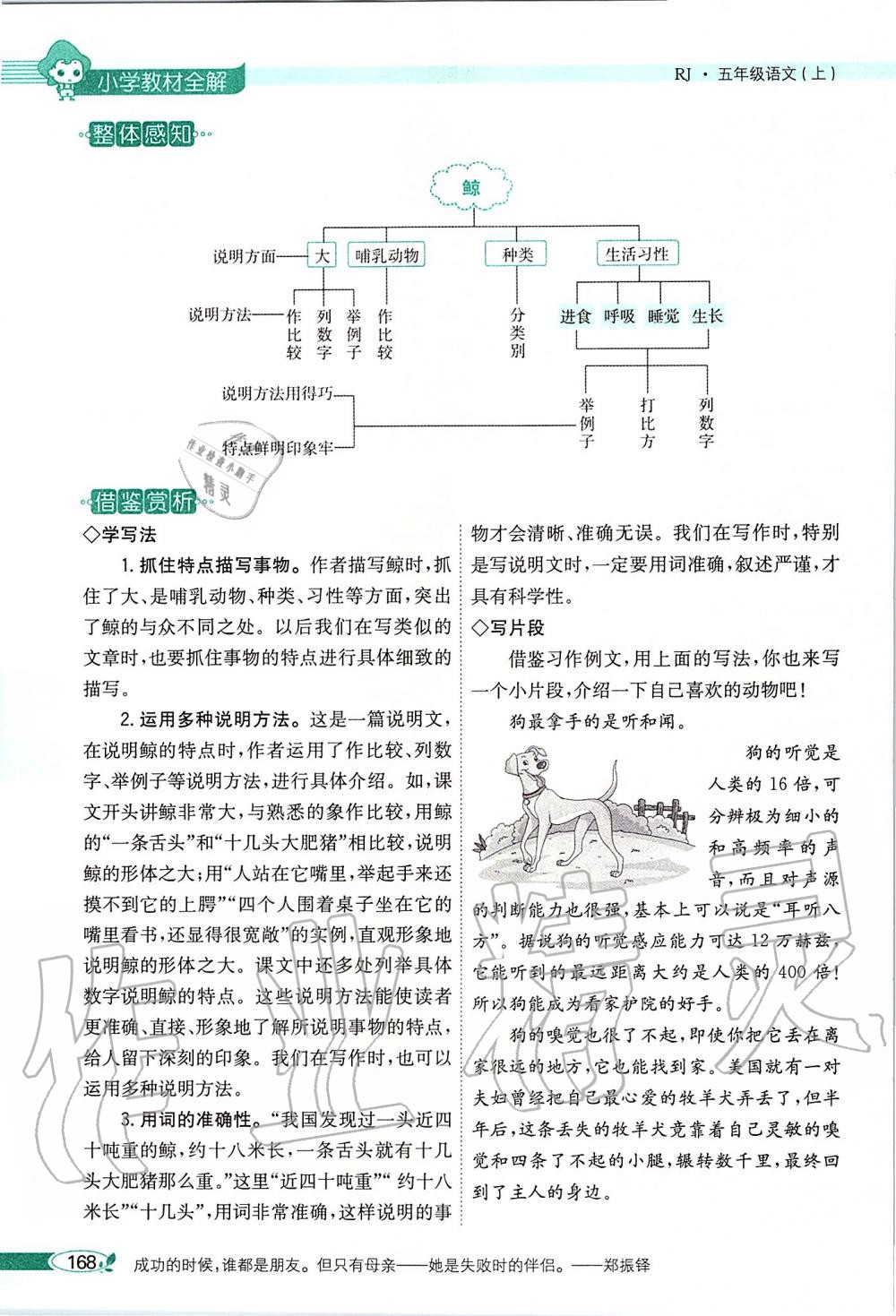 2019年課本五年級語文上冊人教版五四制 第168頁