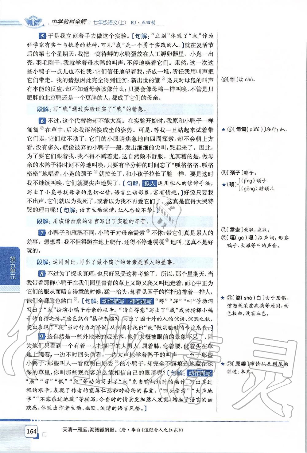 2019年課本七年級語文上冊人教版五四制 第164頁