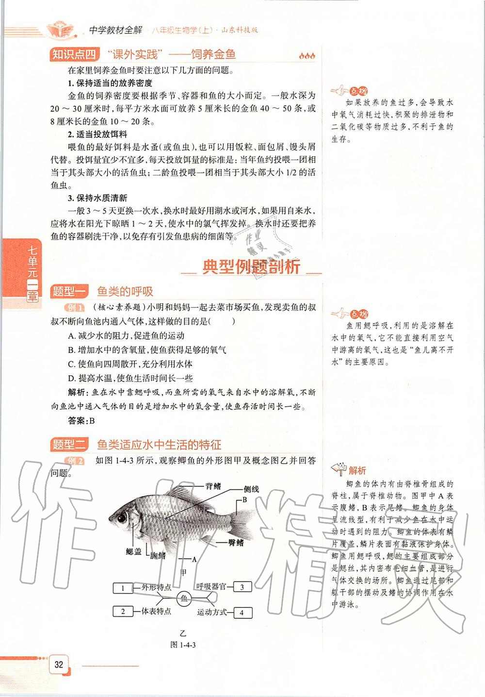 2019年课本八年级生物学上册鲁科版五四制&nbsp;第32页