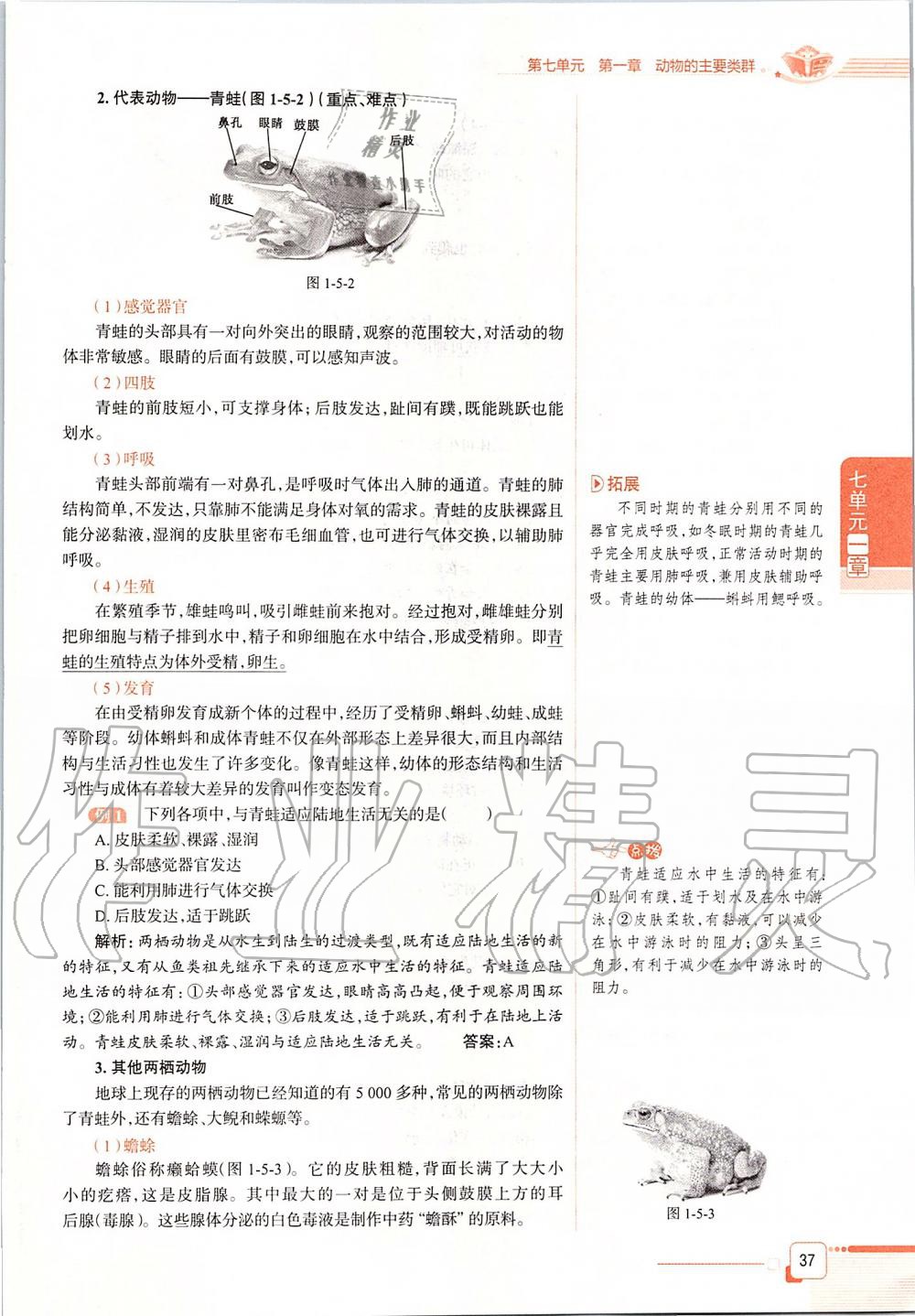 2019年课本八年级生物学上册鲁科版五四制&nbsp;第37页