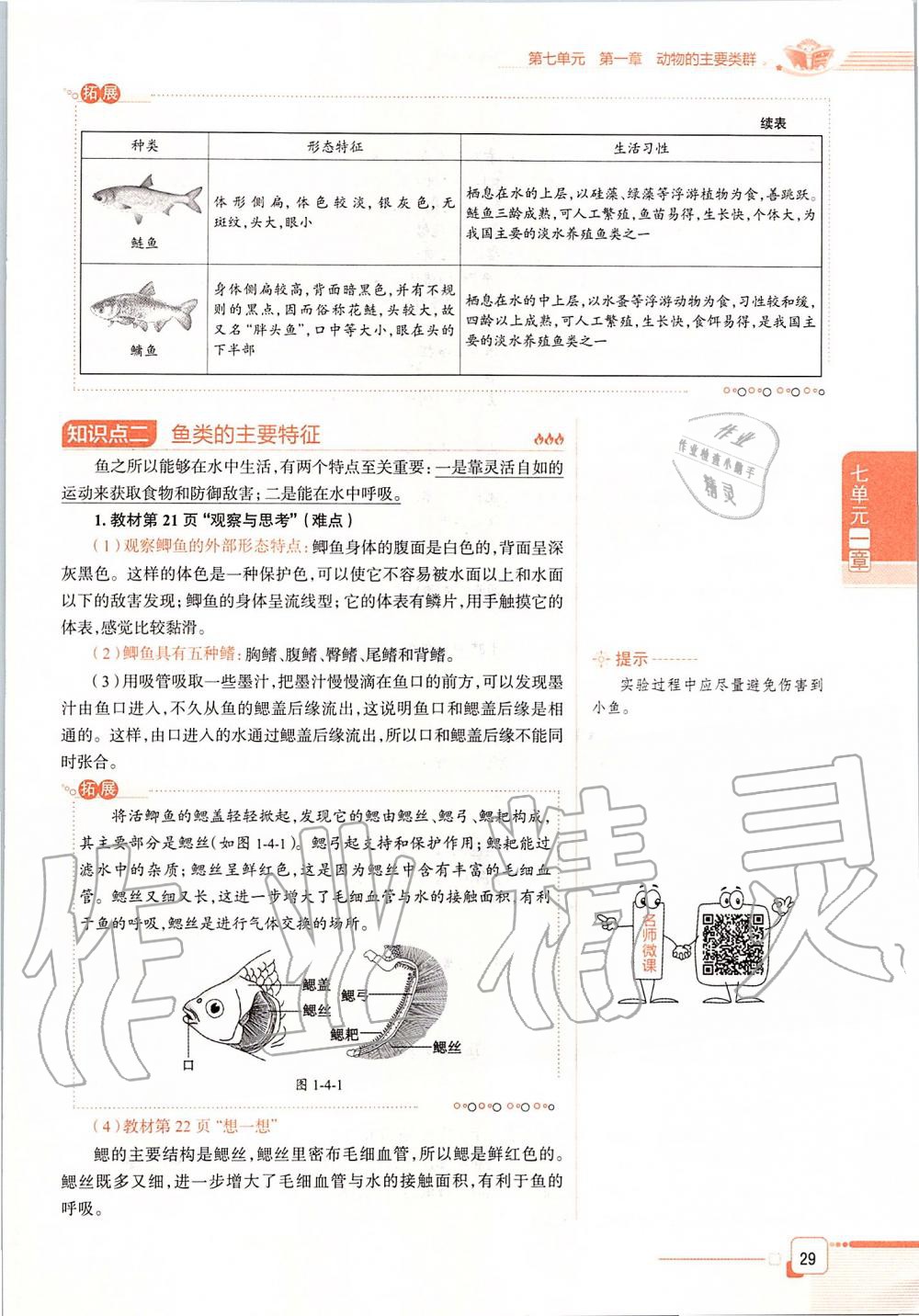 2019年课本八年级生物学上册鲁科版五四制&nbsp;第29页