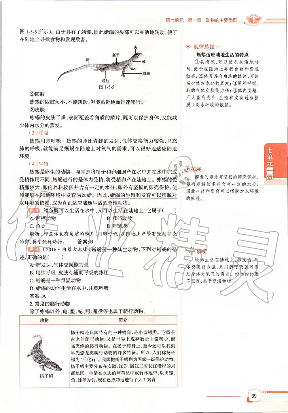 2019年课本八年级生物学上册鲁科版五四制&nbsp;第39页